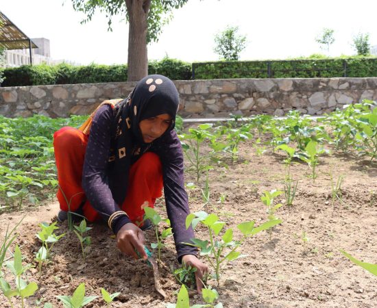 20210724103641_IMG_0011 (1)