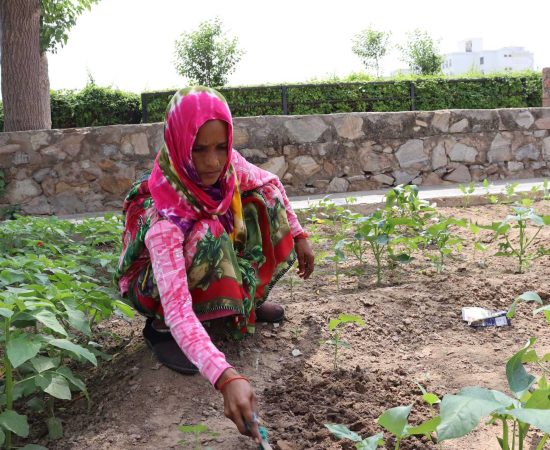 20210724103814_IMG_0019 (1)