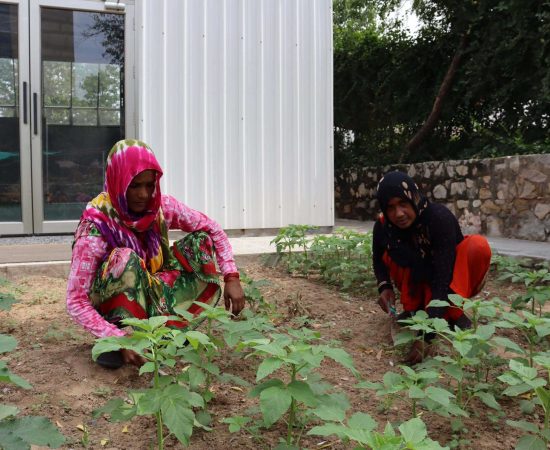 20210724104253_IMG_0041 (1)