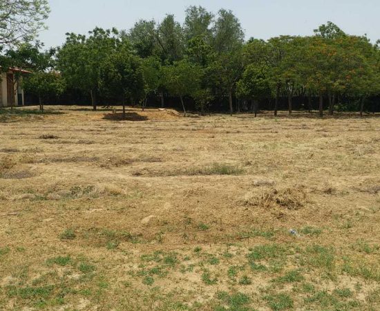 WhatsApp Image 2021-06-29 at 10.36.23 AM