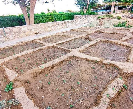 WhatsApp Image 2021-07-07 at 11.20.12 AM