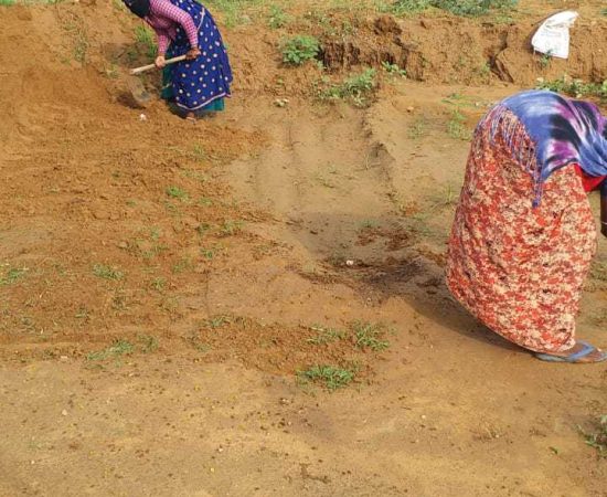 WhatsApp Image 2021-07-20 at 1.10.57 PM (1)