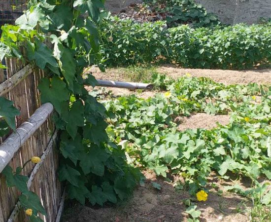 WhatsApp Image 2021-08-25 at 10.29.02 AM