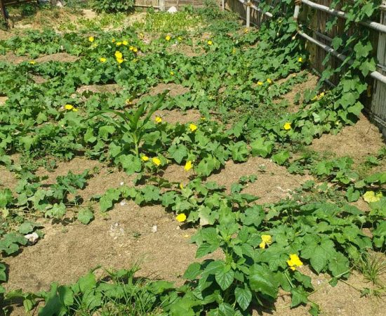 WhatsApp Image 2021-08-25 at 10.29.03 AM