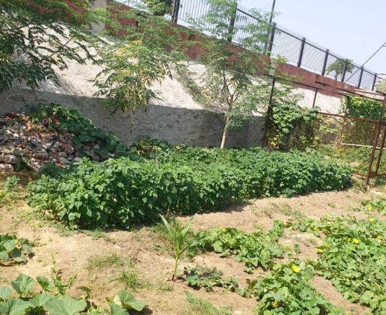 WhatsApp Image 2021-08-25 at 10.29.04 AM