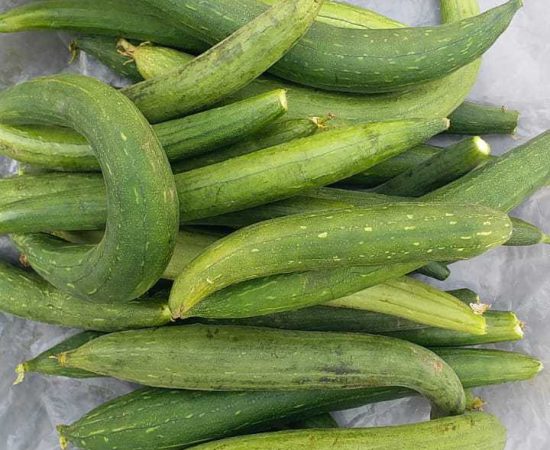 WhatsApp Image 2021-08-25 at 10.29.05 AM