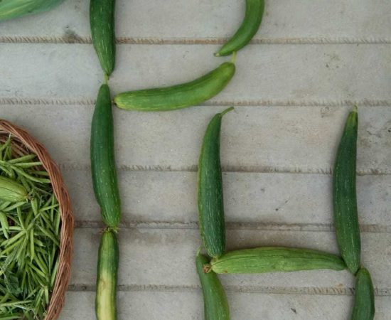 WhatsApp Image 2021-08-28 at 10.03.53 AM