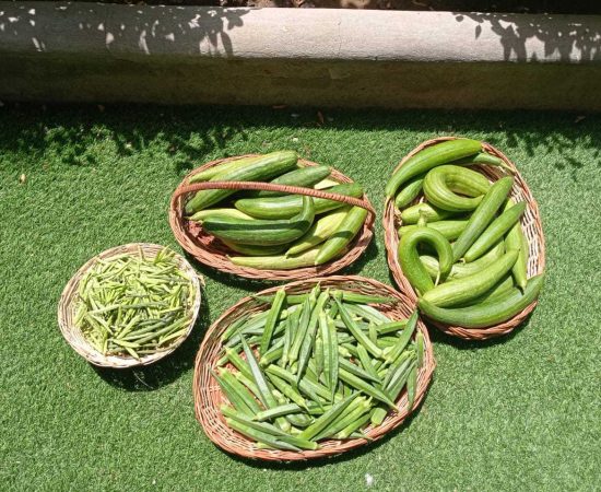 WhatsApp Image 2021-08-28 at 10.03.56 AM